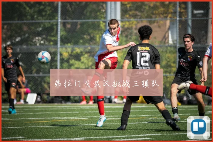 弗拉门戈武汉挑战三镇队
