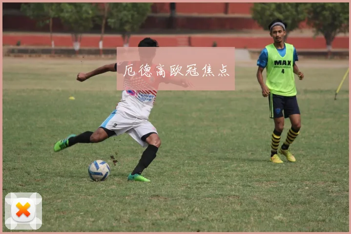 厄德高欧冠焦点
