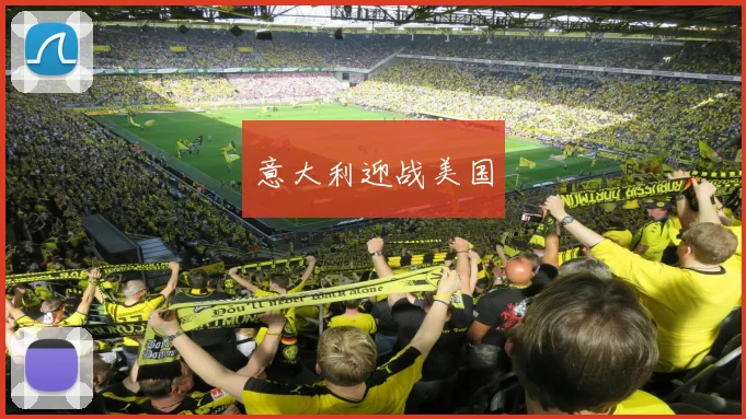 意大利迎战美国