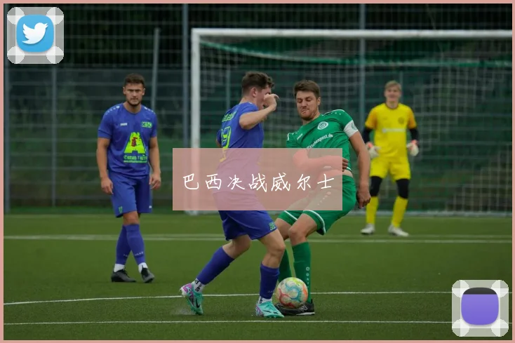 巴西决战威尔士