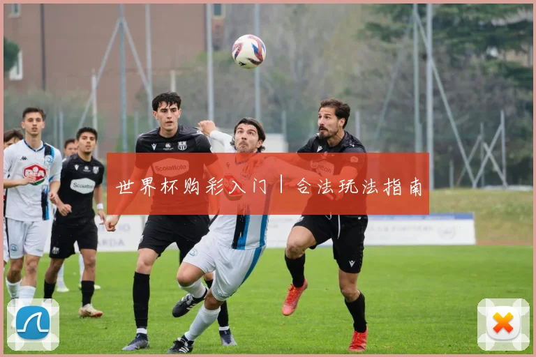 世界杯购彩入门｜合法玩法指南