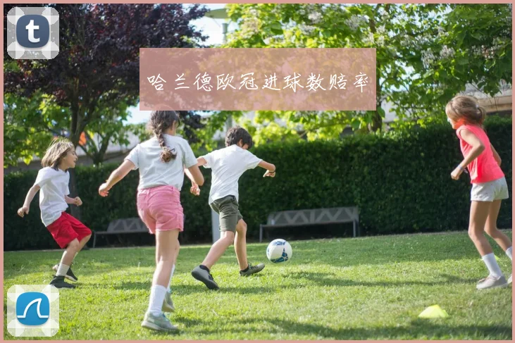 哈兰德欧冠进球数赔率